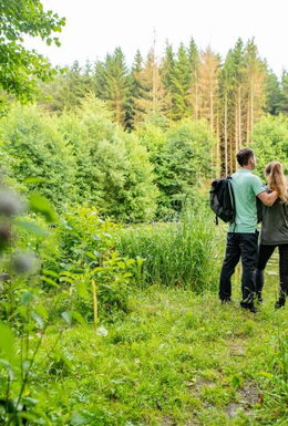 Landschaftsaufnahme im Stillen Tal mit Pärchen und Sitzbank